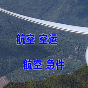 高崎航空邮寄快递-选东方航空和上海航空